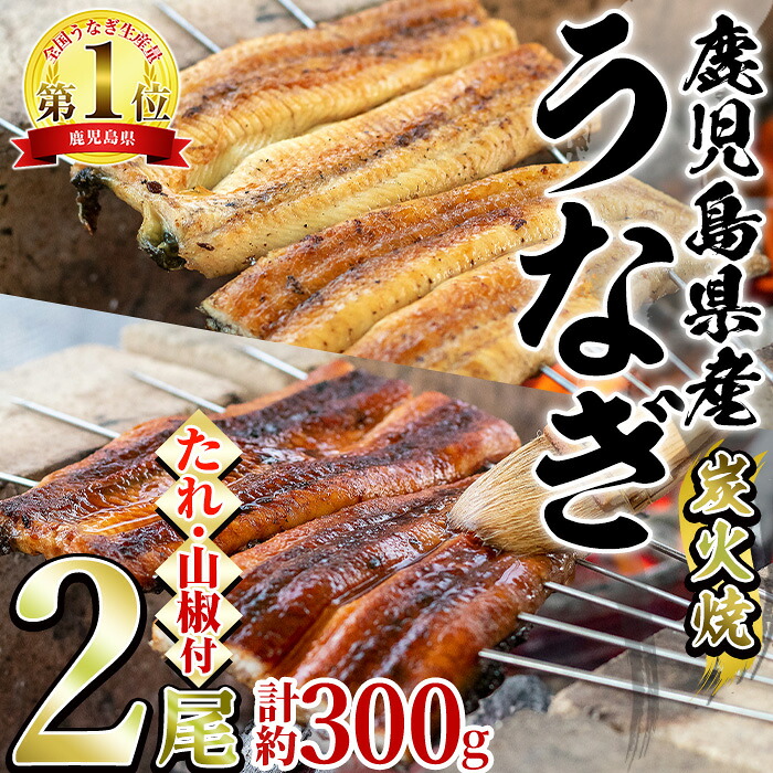 【ふるさと納税】東串良町のうなぎ炭火蒲焼、白焼(無頭)(2尾・計約300g・タレ、山椒付) ウナギ 鰻 白焼き 蒲焼き 国産うなぎ 国産 九州産 鹿児島 鹿児島県産 人気 ランキング 高級 おすすめ 【アクアおおすみ】【0174321a-fly】|鹿児島県東串良町