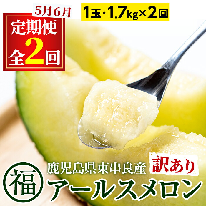 【ふるさと納税】《先行予約受付中！》＜訳あり！定期便・全2回(5月・6月)＞マル福の高級アールスメロン(1玉&times;2回・計3.4kg) メロン フルーツ 果物 果実 3キロ 数量限定 期間限定【マル福園芸組合】【0221105b】｜鹿児島県東串良町