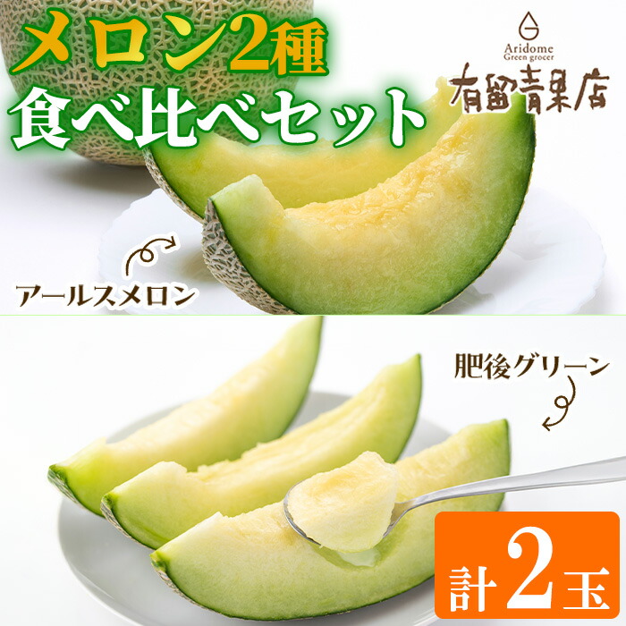 【ふるさと納税】自慢の農家×老舗青果店 メロン食べ比べセット(計2玉) メロン めろん アールスメロン 肥後グリーン 果物 くだもの フルーツ 果実 セット 詰め合わせ 旬 【有留青果】【0203611a】