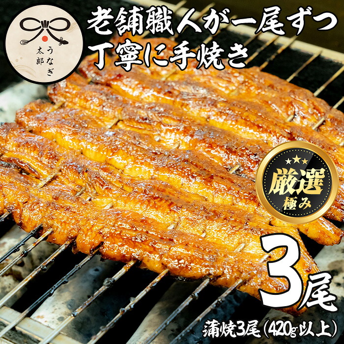 【ふるさと納税】鹿児島県産東串良町のうなぎ蒲焼(3尾・計420g以上・秘伝のタレ付き) うなぎ 高級 ウナギ 鰻 国産 蒲焼 蒲焼き たれ 鹿児島【うなぎ太郎】【0393710a】｜鹿児島県東串良町