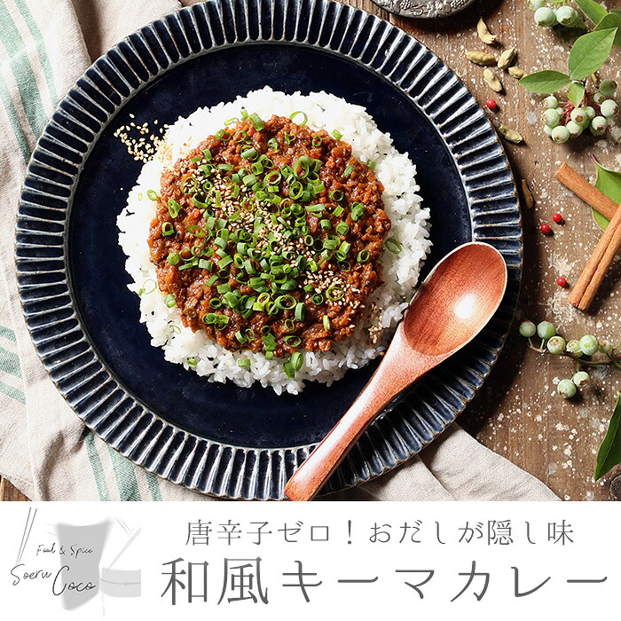 【ふるさと納税】唐辛子ゼロ！おだしが隠し味の和風キーマカレー(120g×4パック・真空パック) レトルト 小分け 個包装 おかず【Food＆SpiceSoerwCoco】【0124206a】