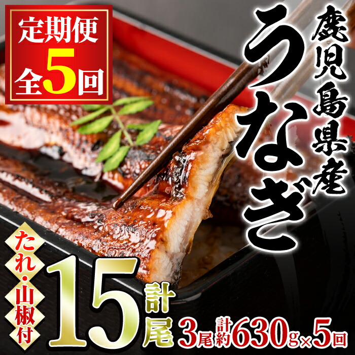 【ふるさと納税】＼高評価★4.9獲得！／＜定期便・全5回＞東串良町のうなぎ蒲焼(無頭)(3尾・計約630g・タレ、山椒付×5回) うなぎ 高級 ウナギ 鰻 国産 蒲焼 蒲焼き たれ 鹿児島 ふるさと 人気【アクアおおすみ】【113044】