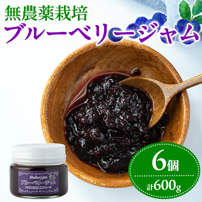 【ふるさと納税】贅沢な国産ブルーベリージャム(100g×6個・計600g) ジャム 瓶 果物 果実 フルーツ パン【村山製油】【12161】