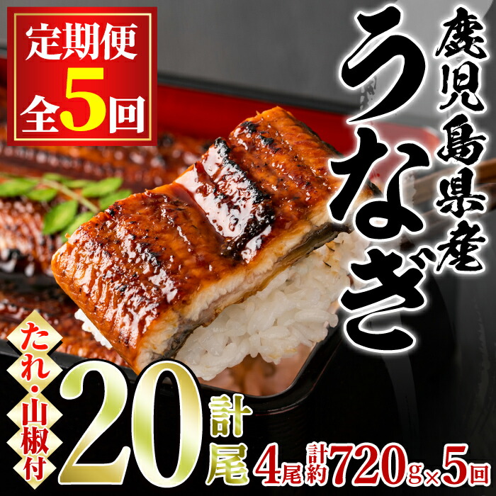 【ふるさと納税】＼高評価★4.79獲得！／＜定期便・全5回＞東串良町のうなぎ蒲焼(無頭)(4尾・計約720g・タレ、山椒付×5回) うなぎ 高級 ウナギ 鰻 国産 蒲焼 蒲焼き たれ 鹿児島 ふるさと 人気【アクアおおすみ】【134043】
