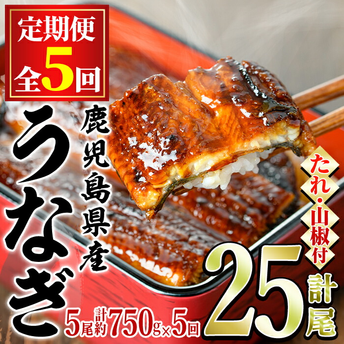 【ふるさと納税】＼高評価★4.95獲得！／＜定期便・全5回＞東串良町のうなぎ蒲焼(無頭)(5尾・計約750g・タレ、山椒付×5回) うなぎ 高級 ウナギ 鰻 国産 蒲焼 蒲焼き たれ 鹿児島 ふるさと 人気【アクアおおすみ】【150041】