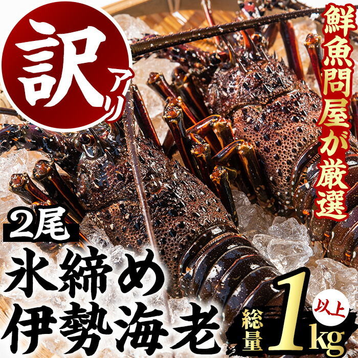 楽天市場】【ふるさと納税】＜訳あり＞マル福の高級アールスメロン(大玉1玉・1.7kg以上 )風味豊かで上質な味わいの青肉！網目の均一性にやや欠けますが味は当農園の最高規格品と同等のメロン！【マル福園芸組合】【10895】 : 鹿児島県東串良町