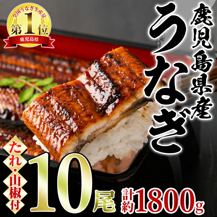 【ふるさと納税】＼高評価★4.77獲得！／東串良町のうなぎ蒲焼(無頭)(10尾・計約1,800g・タレ、山椒付) うなぎ 高級 ウナギ 鰻 国産 蒲焼 蒲焼き たれ 鹿児島 ふるさと 人気【アクアおおすみ】【67038】