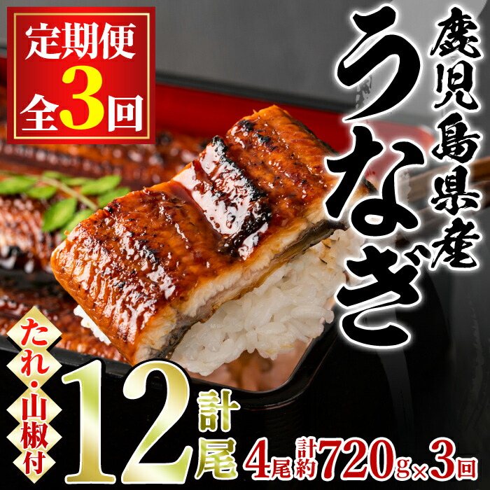 【ふるさと納税】＼高評価★4.81獲得！／＜定期便・全3回＞東串良町のうなぎ蒲焼(無頭)(4尾・計約720g・タレ、山椒付×3回) うなぎ 高級 ウナギ 鰻 国産 蒲焼 蒲焼き たれ 鹿児島 ふるさと 人気【アクアおおすみ】【80042】