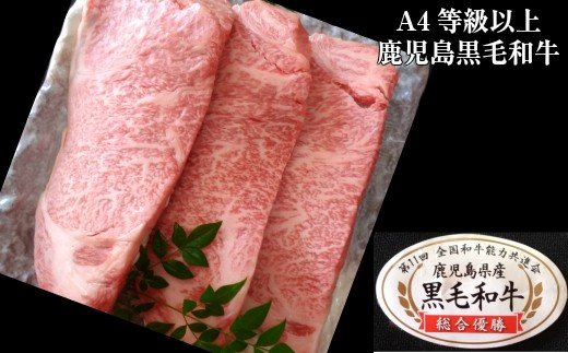 【ふるさと納税】No.3036-1　鹿児島県産 黒毛和牛 サーロインステーキ