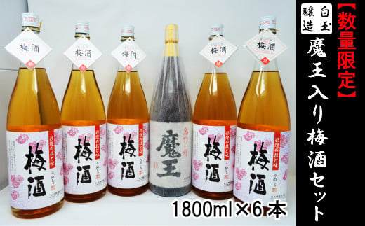 【ふるさと納税】【数量限定】No.4026-3 白玉醸造　魔王入り梅酒セット