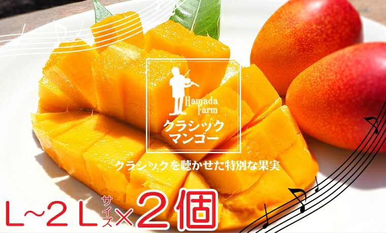 【ふるさと納税】No.1195-4 完熟マンゴー（Ｌ～2Ｌ×2個）