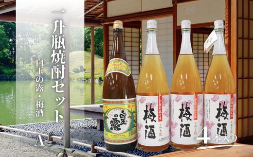 【ふるさと納税】No.2120-1　白玉の露・梅酒（一升瓶）４本セットA