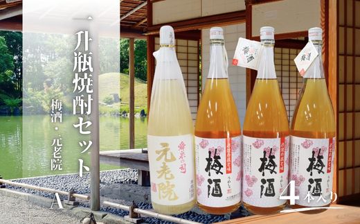 【ふるさと納税】No.3081-1 元老院・梅酒(一升瓶)4本セットA|鹿児島県錦江町