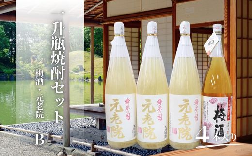 【ふるさと納税】No.3082-2 元老院・梅酒(一升瓶)4本セットB|鹿児島県錦江町