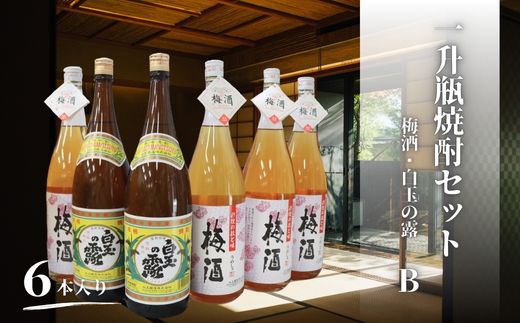 【ふるさと納税】No.4080-1　白玉の露・梅酒（一升瓶）６本セットB