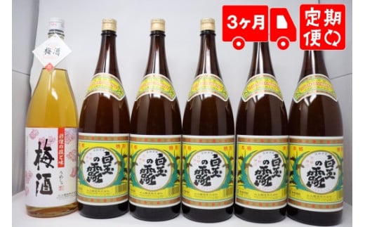 【ふるさと納税】TK-150-2【３ヶ月定期便】白玉醸造 《白玉の露・梅酒》焼酎6本セット（１升瓶）