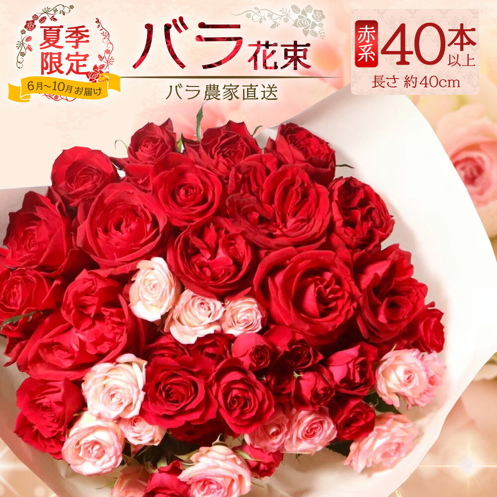 【ふるさと納税】【日付指定必須・ギフト対応可】 夏季限定 ばら農家直送!バラ花束40本以上お届け(赤系) TB-5│ローズ 新鮮 花 フラワー 花束 ばら 薔薇 バラ 誕生日 記念日 結婚祝い ギフト プレゼント お祝い 贈り物 贈答 鹿児島県 南大隅町 富田バラ園|鹿児島県南大隅町