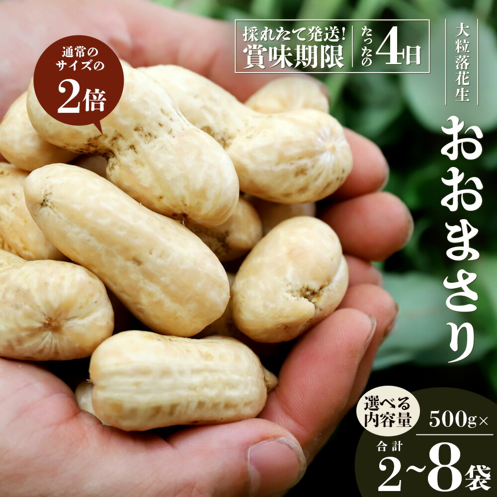 【ふるさと納税】【先行予約・数量限定】食べ応え抜群の大粒落花生「おおまさり」選べる内容量!(1kg~4kg) |鹿児島県産 野菜 やさい 食品 人気 おすすめ 送料無料 落花生 おおまさり 産地直送 新鮮 南大隅町|鹿児島県南大隅町