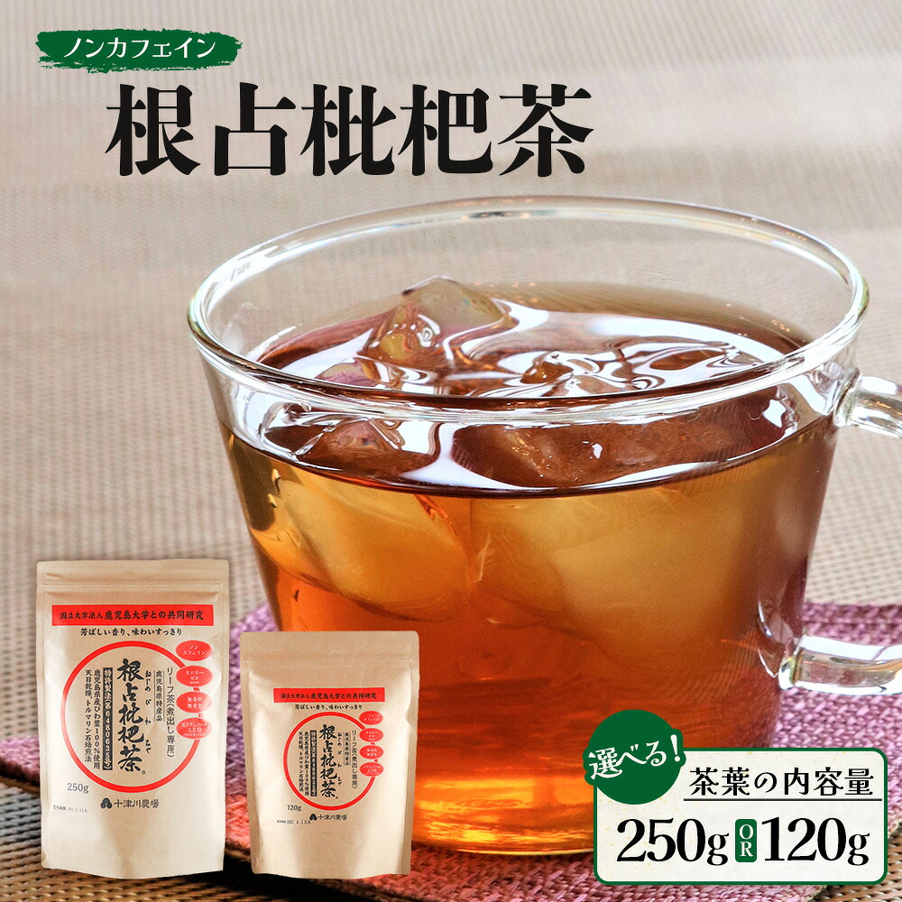 【ふるさと納税】根占枇杷茶 茶葉 煮出し用（選べる内容量！120g・250g）| ねじめ びわ茶 国産 使い切り トルマリン石 焙煎 健康茶 お茶 煮だし 飲みやすい 香ばしい おいしい びわの葉 ネコポス 鹿児島県 南大隅町 十津川農場｜鹿児島県南大隅町