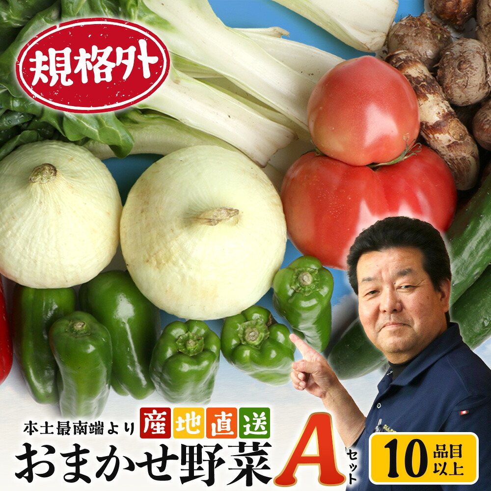 【ふるさと納税】【規格外】本土最南端から 旬のおまかせ野菜セットA 10品目以上 NI-3 ｜ 旬 野菜 やさい 果物 くだもの 産地直送 農産物 冷蔵 鹿児島県 南大隅町産 詰合せ おまかせ 家庭用 訳あり なんたん市場｜鹿児島県南大隅町