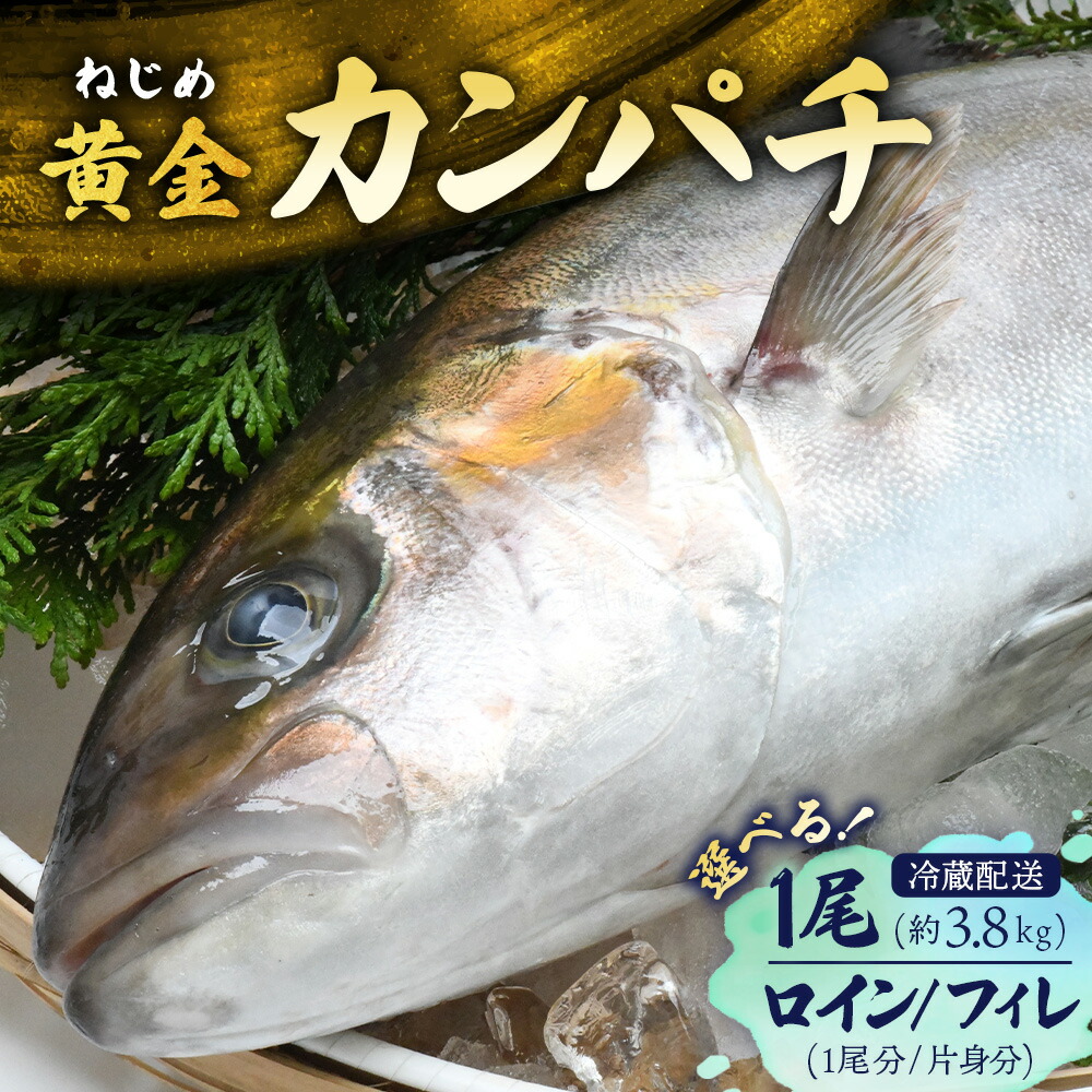 楽天市場】【ふるさと納税】 カンパチ 2節 セット 高級 魚 極美