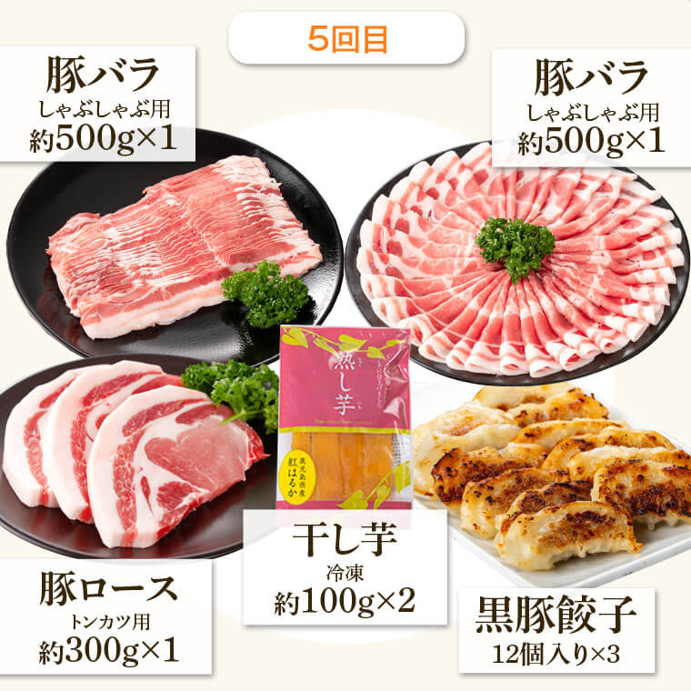 新作からSALEアイテム等お得な商品満載 定期便 全6回 隔月 極上セットF 豚肉 しゃぶしゃぶ とんかつ 餃子 焼き肉 かごしま黒豚 