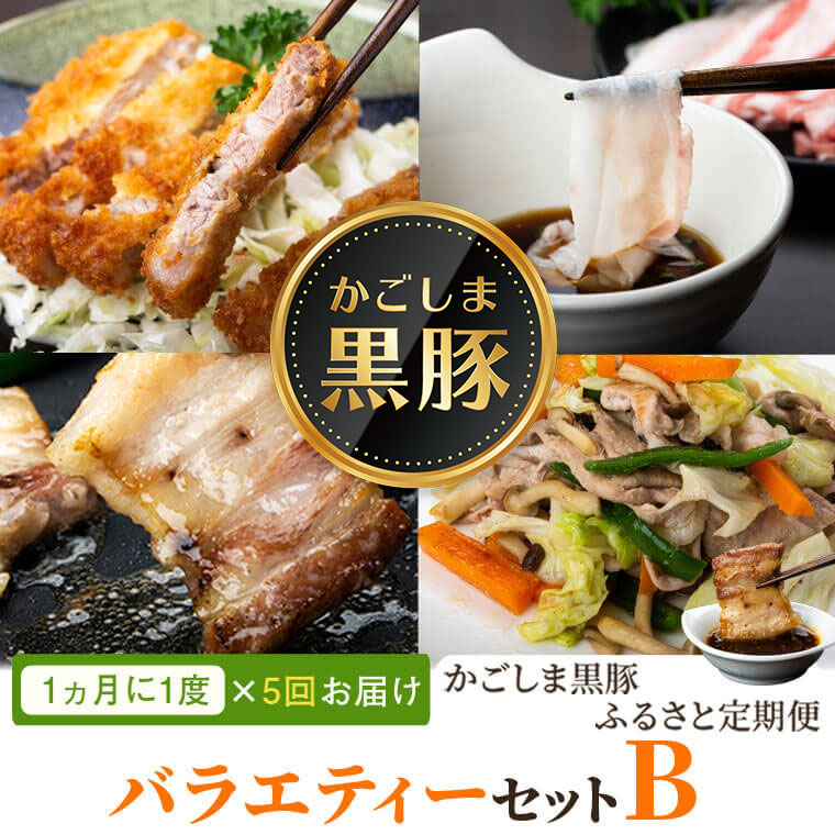 鹿児島産 黒豚 豚肉 特選黒豚 ポン酢 定期便 5回 バラエティセットB 和田養豚ミートセンター 豚バラ ロース スライス カルビ 肉 豚 鹿児島 お歳暮 肝付町 ふるさと 納税 送料 無料
