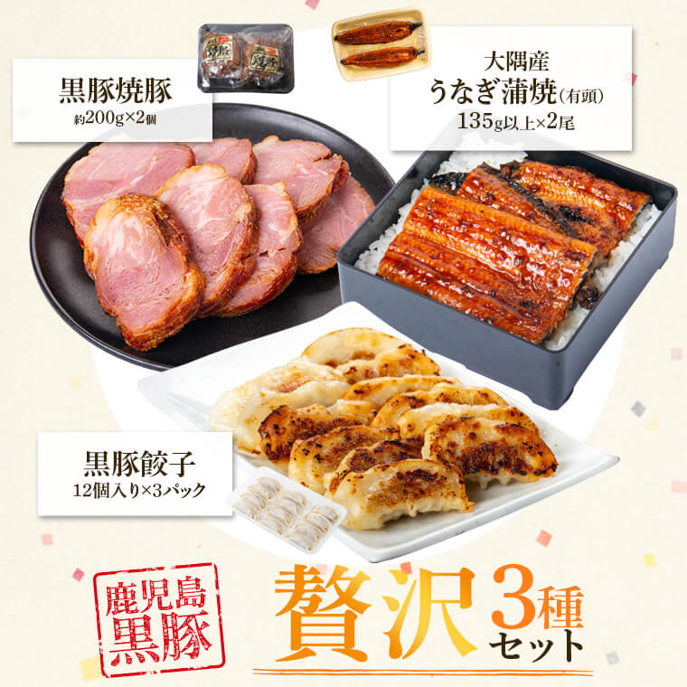 ふるさと納税 鹿児島県 大隅産 うなぎ 尾 黒豚焼豚 個 餃子 セット 送料 無料 Emugev De