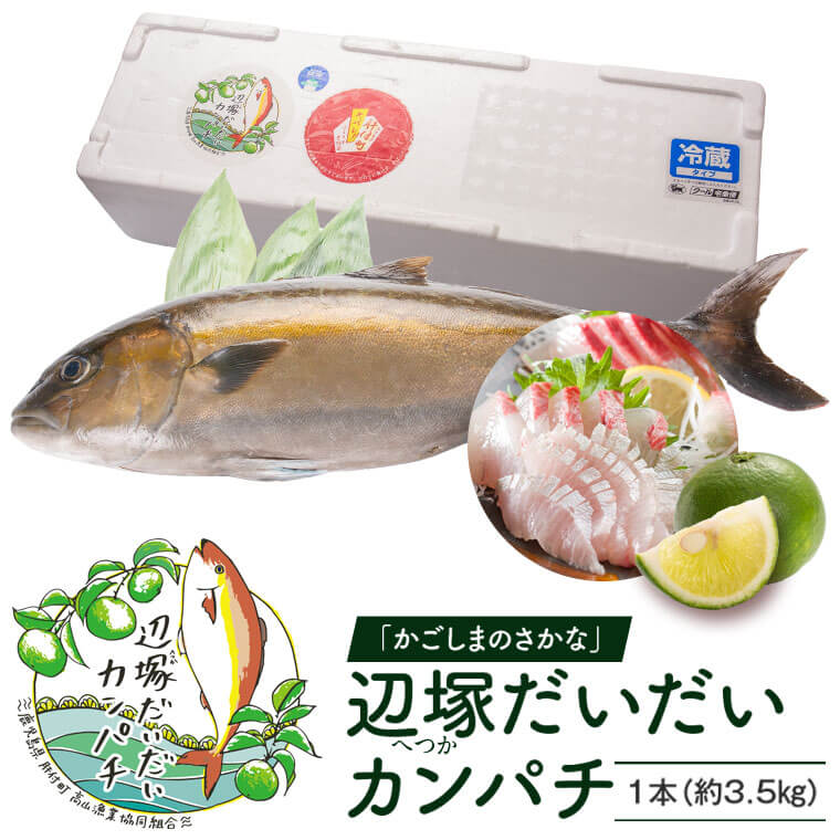 ふるさと納税 かんぱち 勘八 産地直送 切り身 お刺身にも 辺塚だいだい カンパチ しゃぶしゃぶ 照り焼き 忘年会 新年会 送料無料 国産 鹿児島 肝付町 ふるさと 納税 Alittlepeaceofmind Co Uk