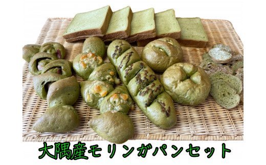 大隅産モリンガパンセット 鹿児島 パン 詰め合わせ モリンガ 家庭用 ギフト プレゼント 肝付町 きもつき ふるさと 納税 パン工房こかげ 送料無料
