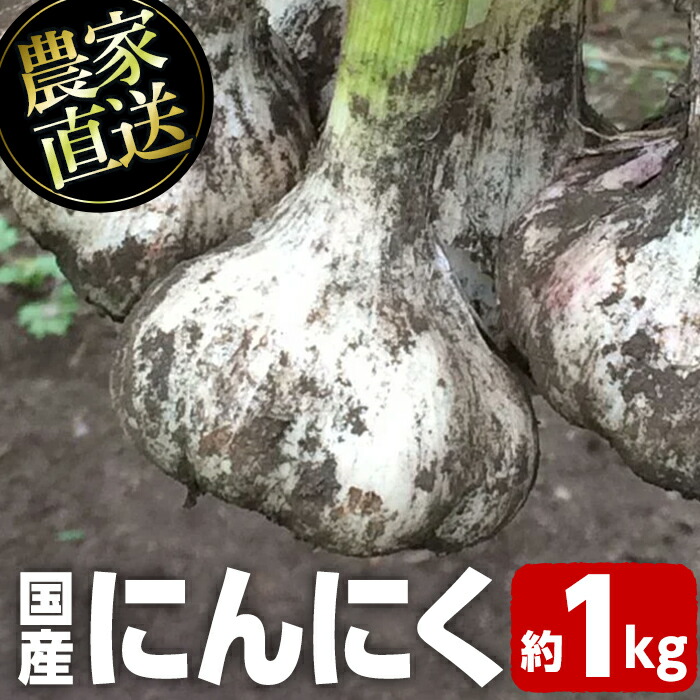 【ふるさと納税】＜先行予約受付中！2025年6月下旬より準備ができ次第発送＞農家直送 鹿児島県産 にんにく(約1kg) 鹿児島 国産 にんにく ニンニク 大蒜 野菜 ガーリック 薬味 【悠希農園】