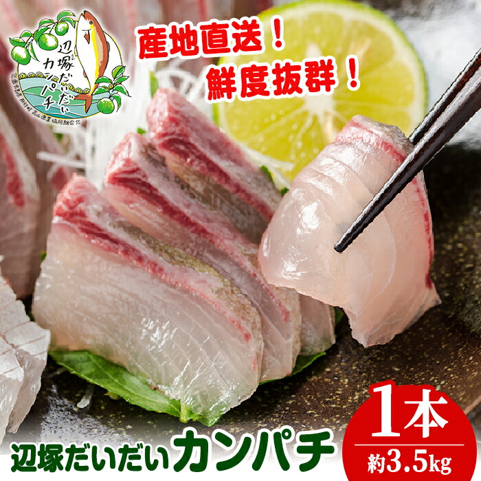 楽天市場】【ふるさと納税】 カンパチ 2節 セット 高級 魚 極美