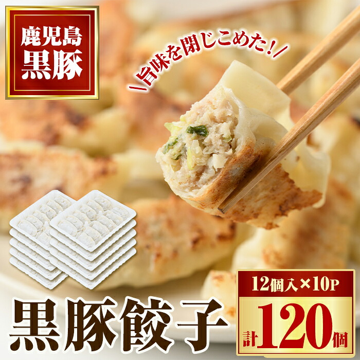 【ふるさと納税】黒豚餃子セット(12個入&times;10パック) 鹿児島 国産 九州産 黒豚 黒ぶた 豚肉 冷凍 餃子 ギョーザ ぎょうざ おかず 惣菜【和田養豚】｜鹿児島県肝付町 10,500円