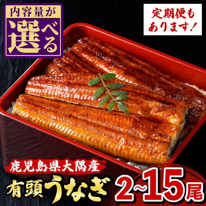 【ふるさと納税】＜容量・お届け回数が選べる！＞うなぎ蒲焼・大(有頭)( 2尾 ～ 15尾 )(タレ・山椒付)鹿児島 国産 鰻 うなぎ ウナギ 蒲焼き うな丼 うな重 ひつまぶし 土用の丑の日 真空パック 贈答 ギフト 定期便 全3回 毎月発送 【一般社団法人きもつき宇宙協議会】｜鹿児島県肝付町