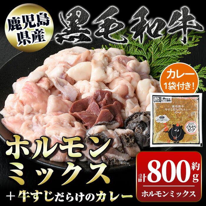 【ふるさと納税】黒毛和牛ホルモンミックス(計800g)+黒毛和牛牛すじだらけのカレー(1袋)セット! 鹿児島 国産 牛肉 黒毛和牛 牛肉専門店 和牛日本一 惣菜 おかず 牛すじ ホルモン ミックス レトルトカレー ご当地カレー【新村畜産】