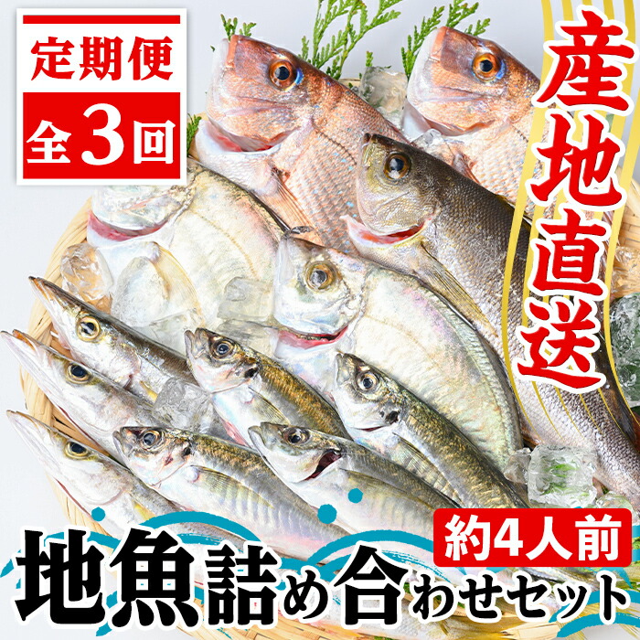 楽天市場】【ふるさと納税】 地魚詰め合わせセット(約4人分) 鹿児島 国産 九州産 産直 産地直送 鮮魚 新鮮 魚 海産物 お刺身 煮つけ  焼き魚【マルケイ水産】 : 鹿児島県肝付町