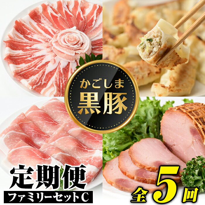 【ふるさと納税】＜定期便・全5回＞かごしま黒豚ふるさと定期便 ファミリーセットC(月1回×5ヶ月) 鹿児島 国産 肉 豚肉 黒豚 焼豚 肩ロース ロース モモ 餃子 ぎょうざ しゃぶしゃぶ とんかつ セット 定期便 【和田養豚】