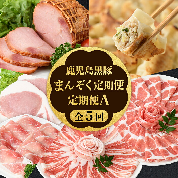 【ふるさと納税】＜定期便・全5回＞かごしま黒豚まんぞく定期便A (月1回&times;5ヶ月) 鹿児島 九州産 国産 肉 豚肉 黒豚 焼豚 肩ロース ロース モモ スライス 叉焼 餃子 ギョーザ ぎょうざ しゃぶしゃぶ とんかつ 加工品 セット 【和田養豚】｜鹿児島県肝付町