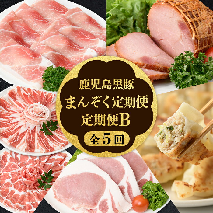 【ふるさと納税】<定期便・全5回>かごしま黒豚まんぞく定期便B (月1回×5ヶ月) 鹿児島 九州産 国産 肉 豚肉 黒豚 焼豚 肩ロース ロース モモ スライス 叉焼 餃子 ギョーザ ぎょうざ しゃぶしゃぶ とんかつ 加工品 セット 【和田養豚】|鹿児島県肝付町