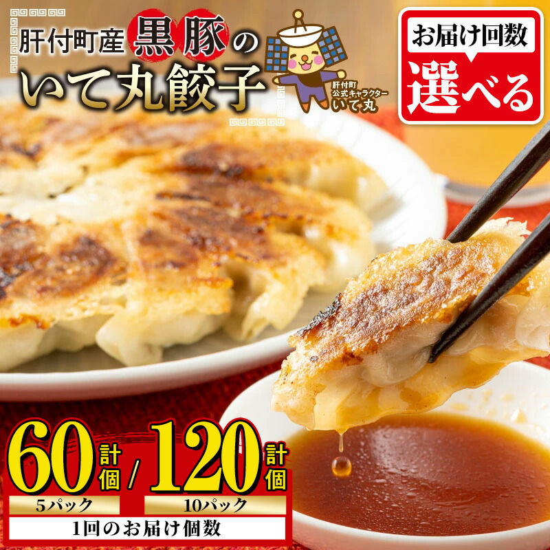 【ふるさと納税】＜お届け回数が選べる！＞鹿児島県 肝付町産 黒豚 餃子 ギョーザ ＜1パック 12個入り＞ (計60個 or 計120個) ≪ パリッ と もっちり で ジューシー ≫ ぎょうざ たれ付き パリパリ もちもち ジューシー おかず 冷凍 豚肉 国産 定期便 全3回 連続月 【財宝】
