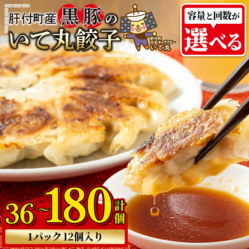 【ふるさと納税】鹿児島県 肝付町産 黒豚 餃子 ギョーザ ＜1パック 12個入り＞ (計36個 ～ 計180個) ぎょうざ たれ付き パリパリ もちもち ジューシー おかず お弁当 冷凍食品 時短 小分け 加工品 冷凍 定期便 豚肉 国産 【財宝】