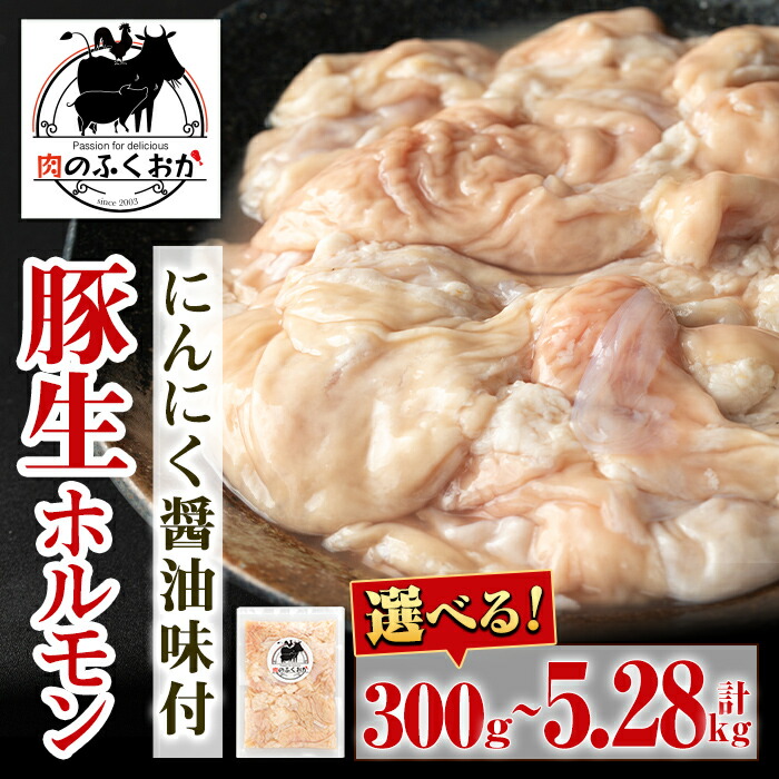 【ふるさと納税】＜選べる容量！＞豚生ホルモンにんにく醤油味付(約300g ～ 約5.28kg) 鹿児島 豚肉 ホルモン 生ホルモン にんにく 醤油 おかず 加工品 味付け 小分け パック 個包装 定期便 全3回 全6回 冷凍 冷凍食品 お弁当【肉のふくおか】｜鹿児島県肝付町