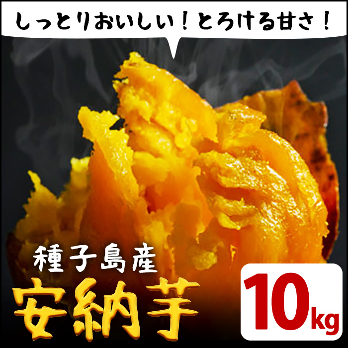【ふるさと納税】種子島産 安納芋10kg【JA種子屋久】