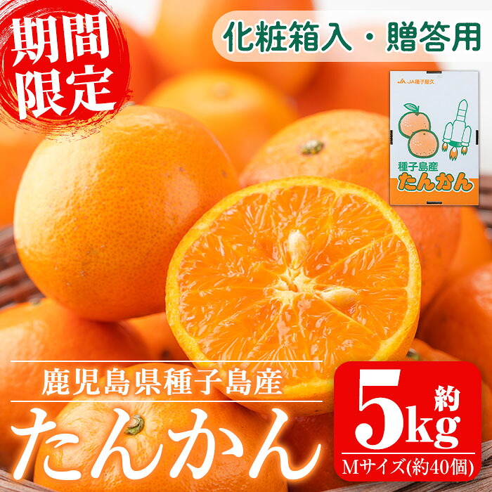 【ふるさと納税】【期間限定】＜先行予約受付中！2027年2月中旬～3月上旬の間に順次発送予定＞鹿児島県種子島産 たんかんMサイズ(5kg・約40個入り) タンカン 桶柑 柑橘 かんきつ 果物 くだもの 果実 フルーツ 旬 化粧箱 贈答用 贈り物 プレゼント【種子屋久農業協同組合】｜鹿児島県中種子町 8,400円
