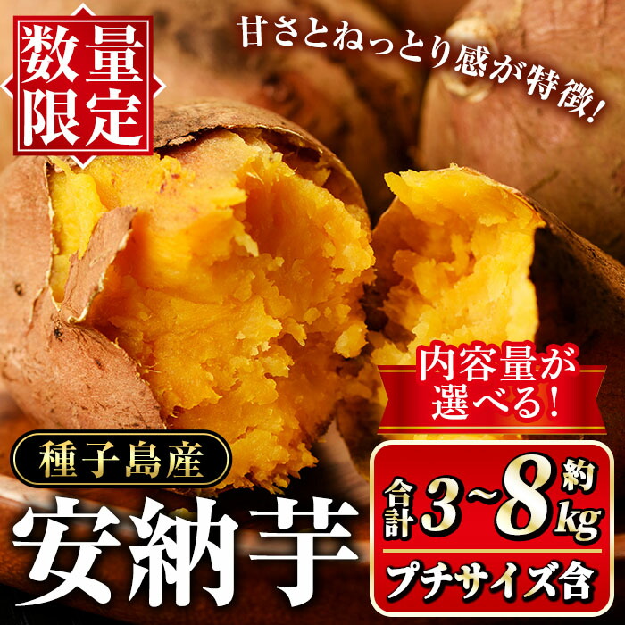 楽天市場】【ふるさと納税】＜2022年11月中旬頃より順次発送予定