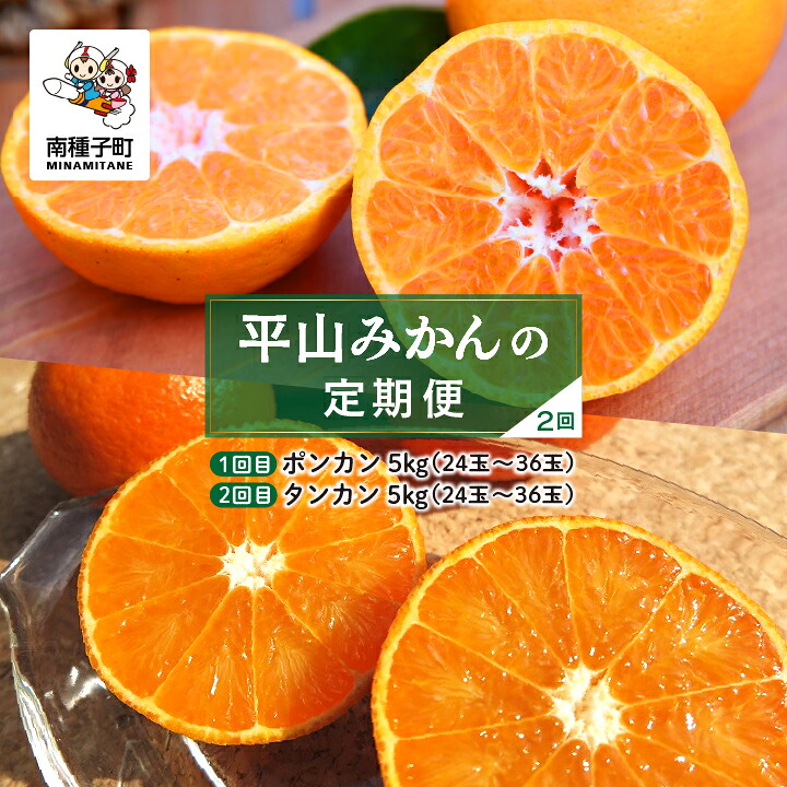 【ふるさと納税】【先行予約】【定期便】 種子島 平山みかん ポンカン タンカン 定期便 全2回 人気 種子島産 返礼品 南種子町 鹿児島 かごしま 【のっちーよ種子島】|鹿児島県南種子町