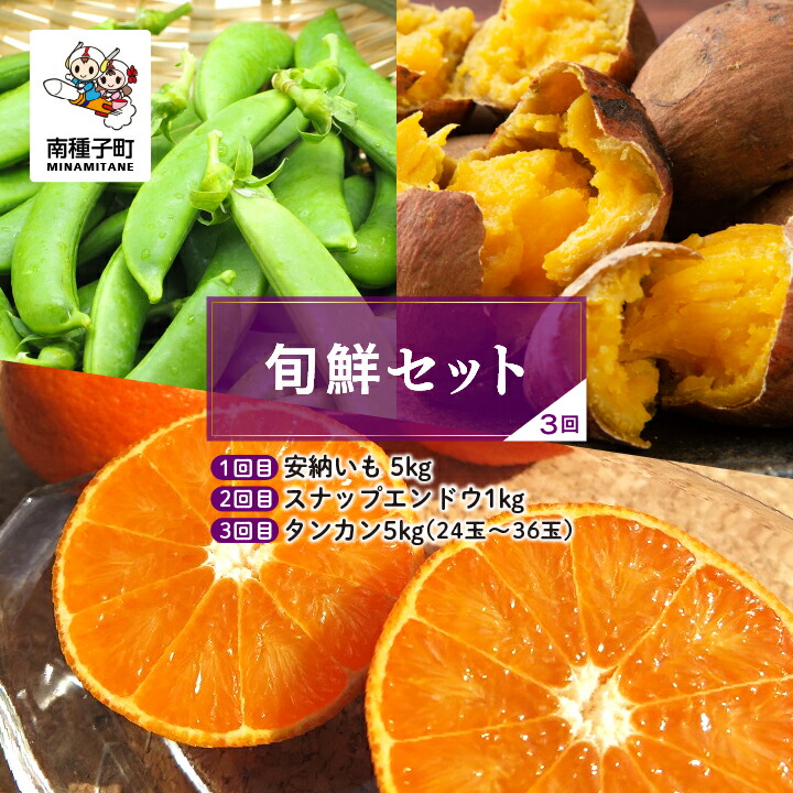 【ふるさと納税】【先行予約】【定期便】 種子島 旬鮮セット全3回 安納いも スナップエンドウ タンカン 人気 種子島産 返礼品 南種子町 鹿児島 かごしま 【のっちーよ種子島】|鹿児島県南種子町