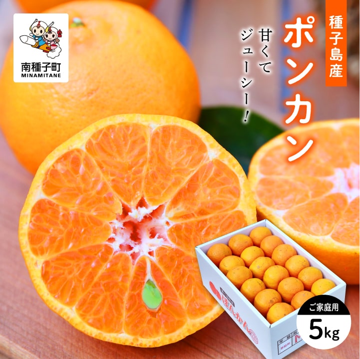 楽天市場】【ふるさと納税】＜先行予約受付中！2025年12月中旬以降順次