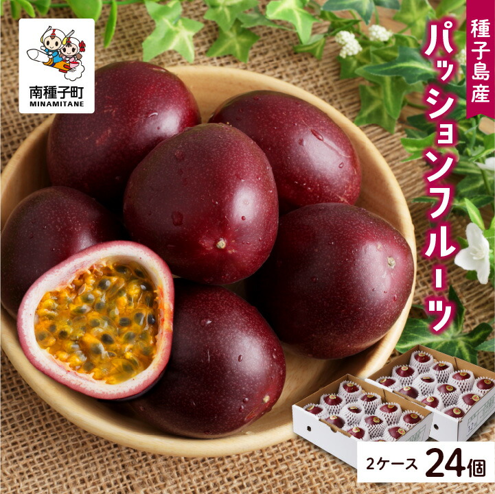 【ふるさと納税】  《先行予約》令和7年度 種子島産パッションフルーツ 2ケース ( 24個入り )  パッションフルーツ 果物 フルーツ 食品 グルメ お取り寄せ お中元 人気 おすすめ 返礼品 南種子町 鹿児島 かごしま 【有限会社新栄物産】