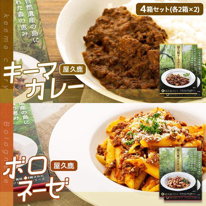 【ふるさと納税】屋久鹿キーマカレー・屋久鹿ボロネーゼの4箱セット（各2箱×2）